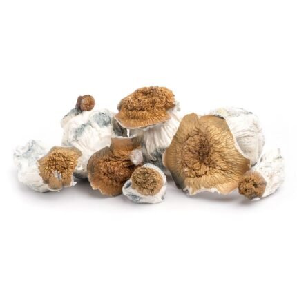 A+ Magic Mushrooms For Sale