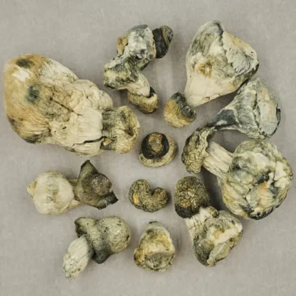 blue meanie magic mushrooms for sale