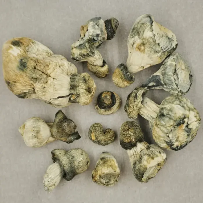 blue meanie magic mushrooms for sale